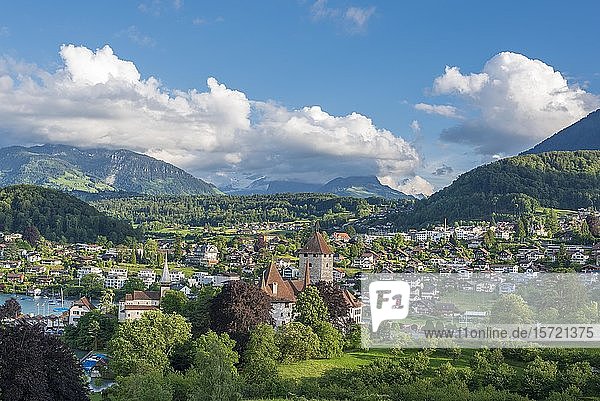 Stadtbild mit Schloss Spiez  Spiez  Berner Oberland  Schweiz  Europa