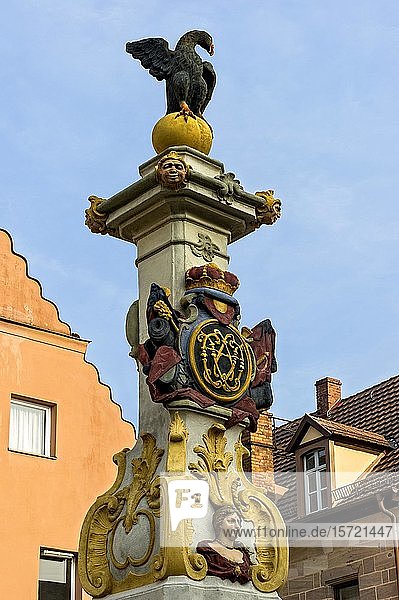 Barocker Markgrafenbrunnen mit brandenburgischer Adlerfigur auf dem Marktplatz  Altstadt  Roth  Mittelfranken  Franken  Bayern  Deutschland  Europa