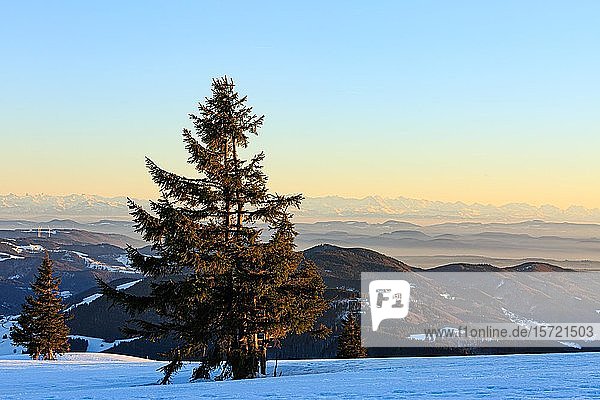 Abendstimmung auf dem winterlichen Gipfel des Belchen bei Sonnenuntergang  Blick auf Bergketten und Alpenkette  Schwarzwald  Baden-Württemberg  Deutschland  Europa