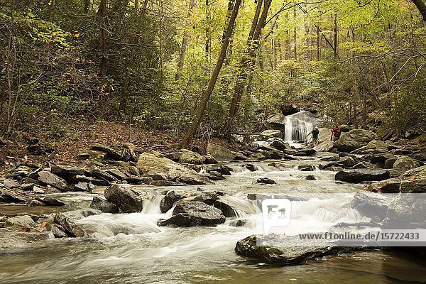 Catawba Falls Trail east of Asheville North Carolina hiking trail trekking through a mossy shady forest valley to beautiful waterfalls in the Pisgah National Forest.