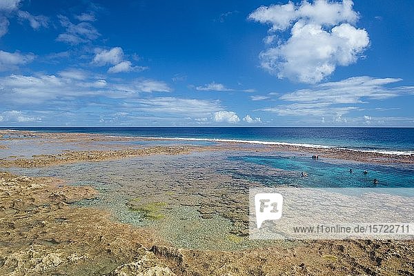 Touristen schwimmen in den beeindruckenden Limu Low Tide Pools  Südpazifik  Niue  Ozeanien