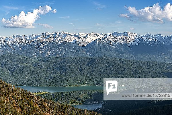 Blick vom Herzogstand auf den Walchensee  an der hinteren Alpenkette  Oberbayern  Bayern  Deutschland  Europa
