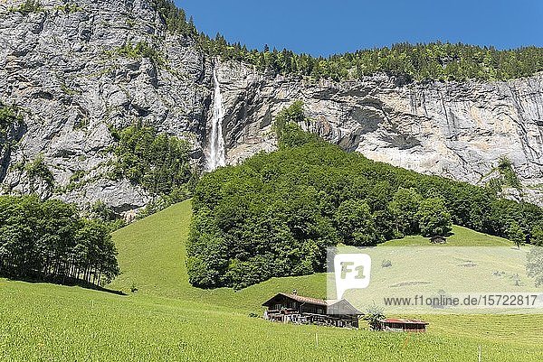 Felswand mit Staubbachfall  Lauterbrunnental  Lauterbrunnen  Berner Oberland  Schweiz  Europa