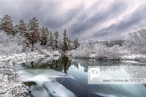 A cooling river with the first snow on the shore on a cold day of late autumn.