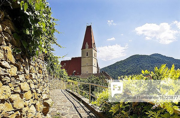 Gotische Pfarrkirche  Weißenkirchen in der Wachau  Niederösterreich  Österreich  Europa