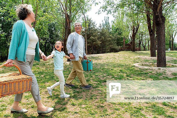 Older couples with a granddaughter picnic in the park