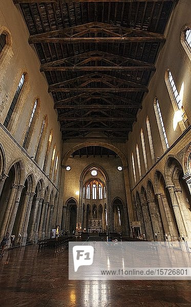 Gotische Kirche San Lorenzo Maggiore  Neapel  Kampanien  Italien  Europa