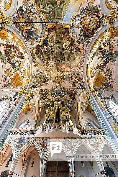 Deckengemälde  Innenansicht Pfarrkirche St. Nikolaus  Hall in Tirol  Tirol  Österreich  Europa