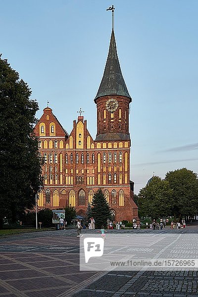 Königsberger Dom  Kaliningrad  Oblast Kaliningrad  Russland  Europa