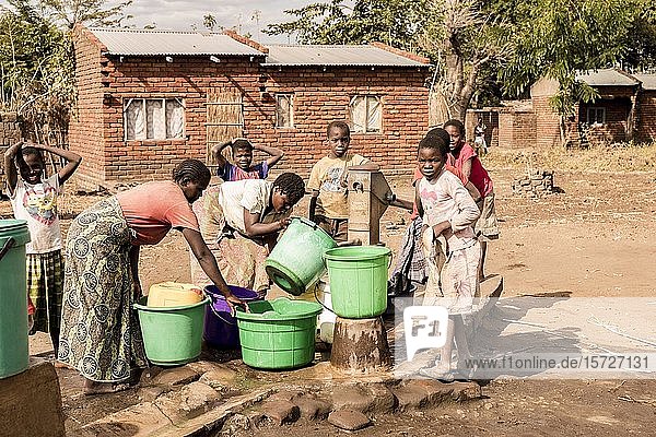Frauen bringen Wasser  Kasinje  Zentralregion  Malawi  Afrika