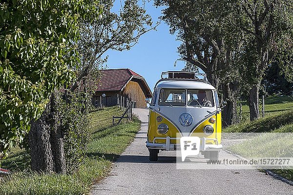 Oldtimer VW T1  Bulli  Baujahr 1967  auf der Straße  Österreich  Europa