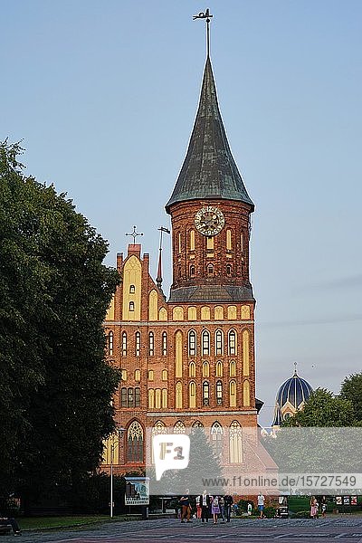 Königsberger Dom  hinter der Synagoge  Kaliningrad  Oblast Kaliningrad  Russland  Europa