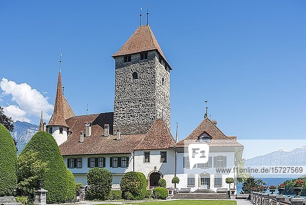 Schloss Spiez  Spiez  Berner Oberland  Schweiz  Europa