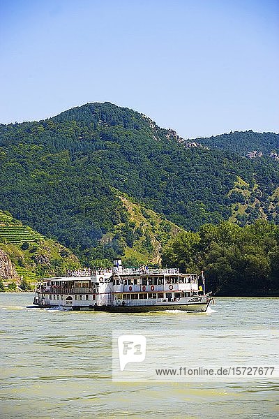 Excursion boat on the Danube in the Wachau  Lower Austria  Austria  Europe