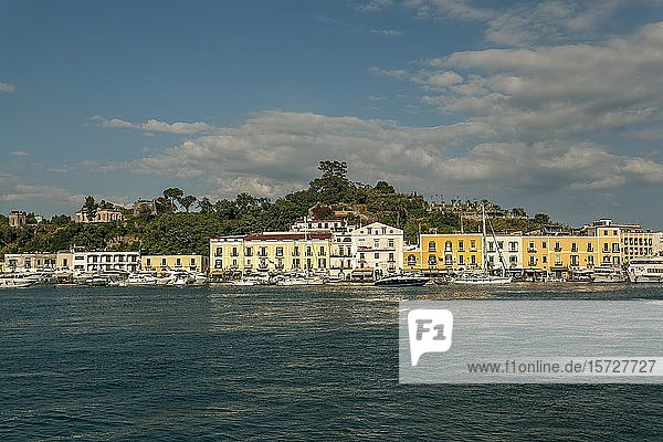 Hafen von Ischia Porto  Insel Ischia  Neapel  Kampanien  Italien  Europa
