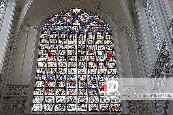 Glasfenster  Kirchenfenster in der Liebfrauenkathedrale  Onze-Lieve-Vrouwekathedraal  Antwerpen  Belgien  Europa