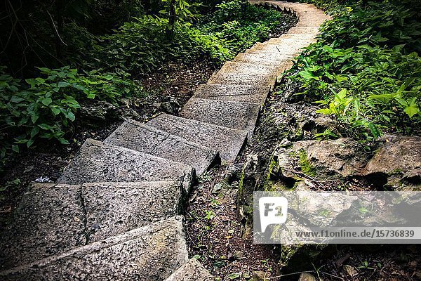 Stone stairs in the nature of Soroa,  Republic of Cuba,  Caribbean,  Central America.