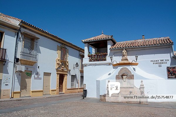 Plaza de la Fuenseca. City of Cordoba,  Andalucia,  Spain,  Europe.