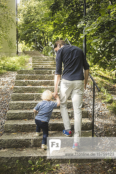 Rückansicht von Vater und Sohn in voller Länge  wie sie sich beim Aufstieg auf der Treppe im Park an den Händen halten