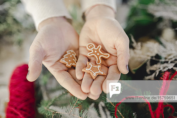 Weihnachtsschmuck in der Hand haltend  Lebkuchenmann  Stern und Baum