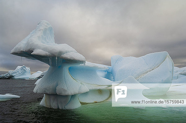Eisberg bei der Insel Pleneau  Kanal von Lemaire  Antarktis  Antarktische Halbinsel
