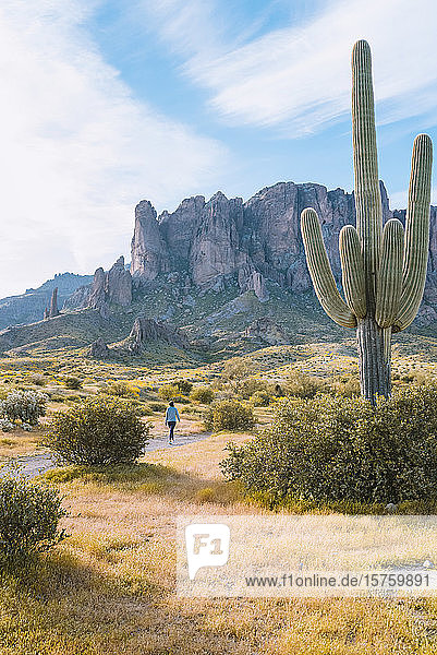 Frau beim Wandern  Aberglaube Berge im Hintergrund  Arizona  Vereinigte Staaten