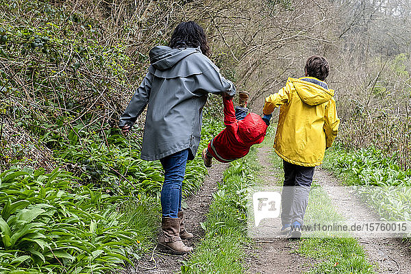 Mutter und Söhne gehen gemeinsam an einem nebligen Regentag im Wald spazieren.
