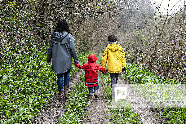 Mother and sons walking together on a rainy misty day in woodland.