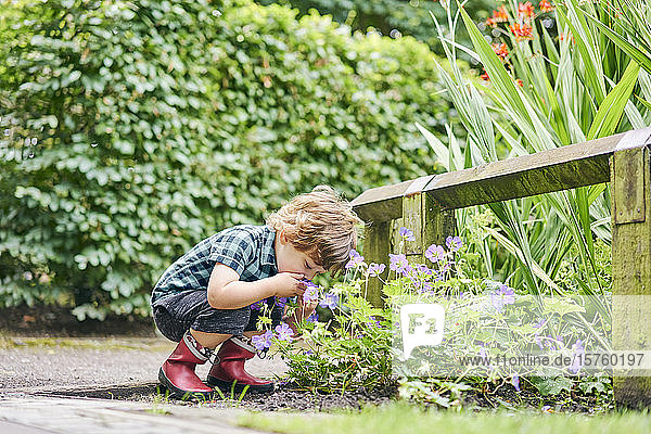 Kleinkind entdeckt Pflanze im Park