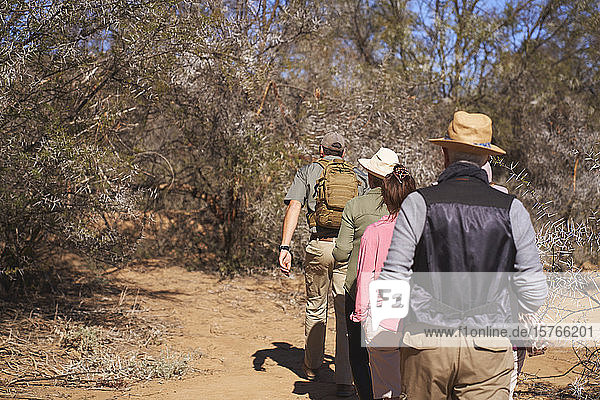 Safari-Reiseleiter führt Gruppe im sonnigen Grasland Südafrikas