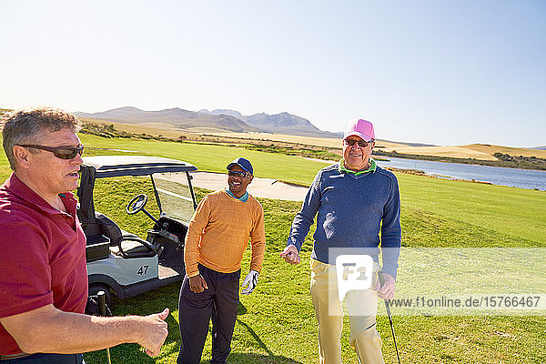Glückliche männliche Golffreunde auf einem sonnigen Golfplatz