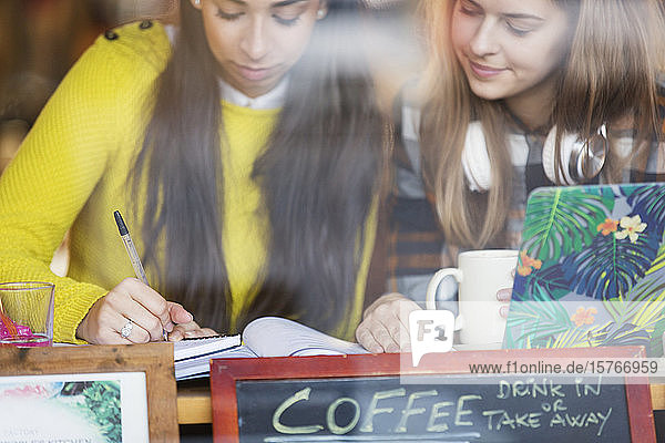 Junge Studentinnen studieren in einem Café