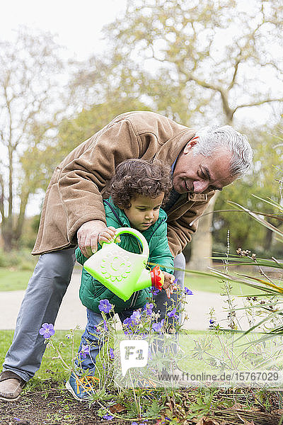 Großvater und Enkelin gießen Blumen mit Gießkanne