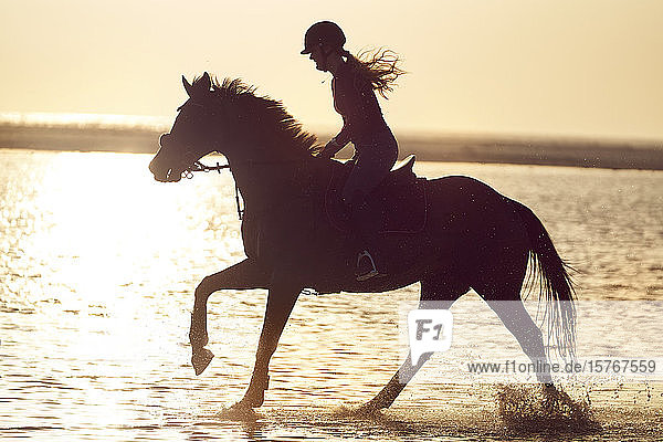 Young woman horseback riding in ocean surf at sunset