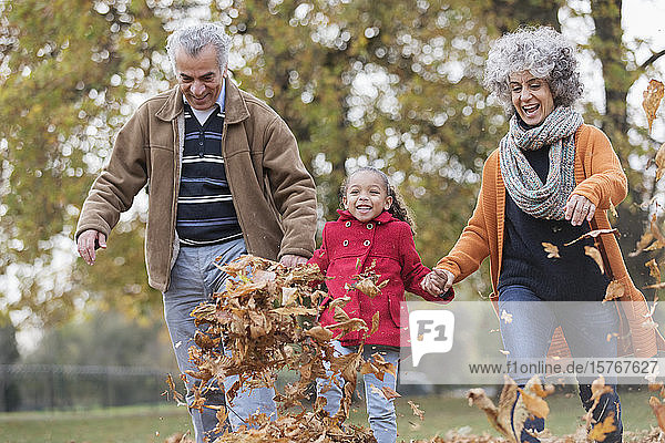 Verspielte Großeltern und Enkelin treten Herbstblätter im Park