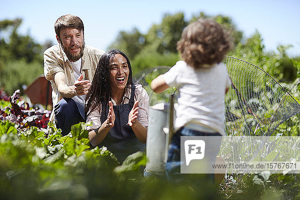 Junge Familie bei der Gartenarbeit im sonnigen Gemüsegarten