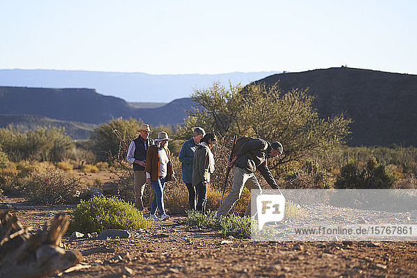 Safari-Reiseleiter erklärt einer Gruppe Pflanzen in Südafrika