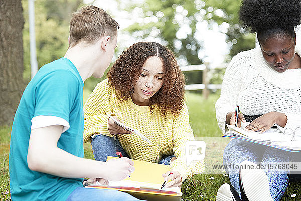 College-Studenten lernen im Park