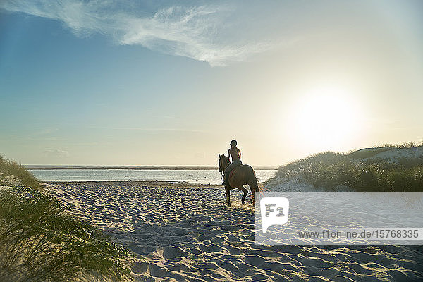 Young woman horseback riding on idyllic sunny ocean beach