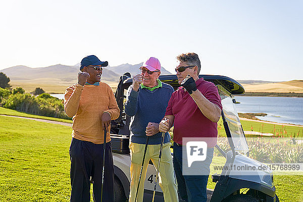 Männliche Golfer jubeln auf dem sonnigen Golfwagen