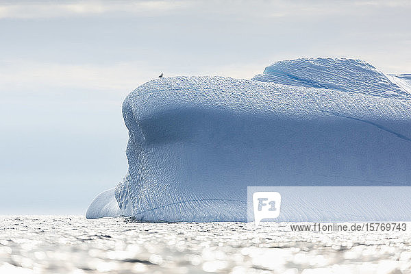 Majestätische Eisbergformation auf dem sonnigen Atlantischen Ozean Grönlands