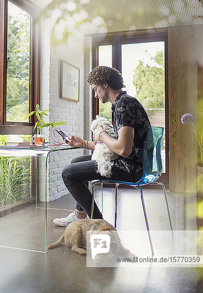 Young man with dogs working at desk in home office