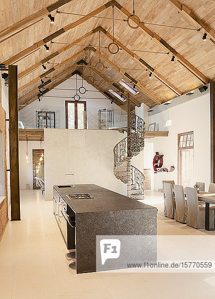 Home Showcase Innenküche mit Holzgewölbe und Loft