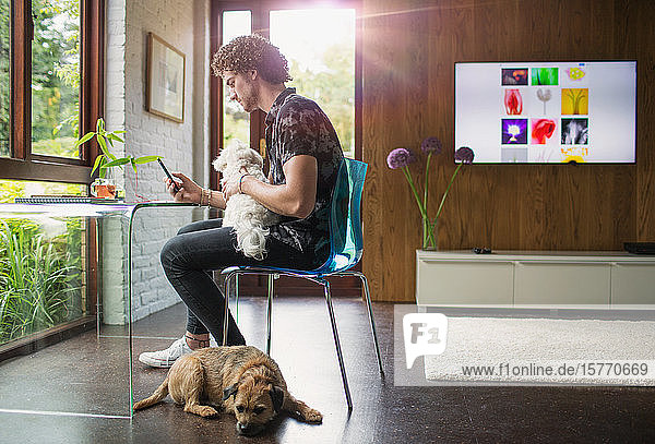 Junger Mann mit Hunden  der im Büro zu Hause ein Smartphone benutzt