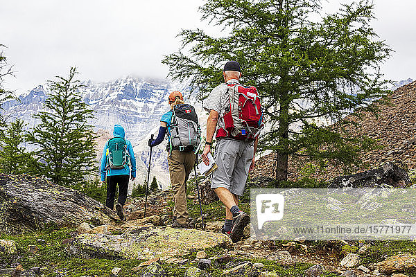 Hikers along a rocky mountain trail with a cloudy mountain range in the background  Yoho National Park; Field  British Columbia  Canada