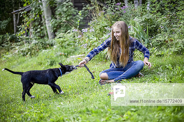 Mädchen spielt mit ihrem Hund; Salmon Arm  British Columbia  Kanada
