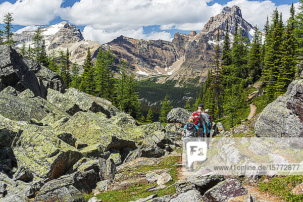 Hikers along a rocky mountain trail with mountain range in the distance  Yoho National Park; Field  British Columbia  Canada