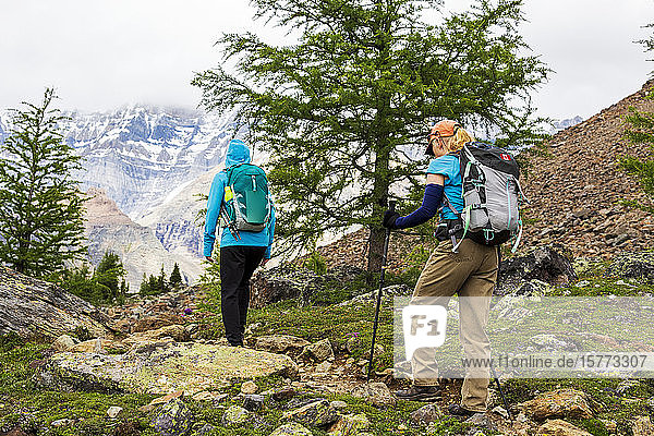 Two female hikers along a rocky mountain trail with a cloudy mountain range in the background  Yoho National Park; Field  British Columbia  Canada