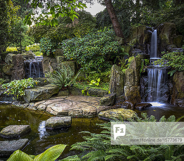 Wasserfälle und üppiges Laub in einem begrünten Wohngarten; Surrey  British Columbia  Kanada