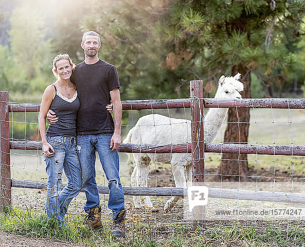Porträt eines Bauern und seiner Frau mit einem Lama (Lama glama) im Hintergrund; Armstrong  British Columbia  Kanada